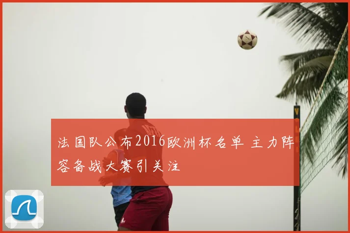 法国队公布2016欧洲杯名单 主力阵容备战大赛引关注