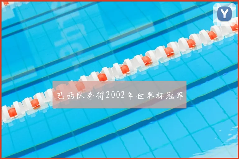 巴西队夺得2002年世界杯冠军