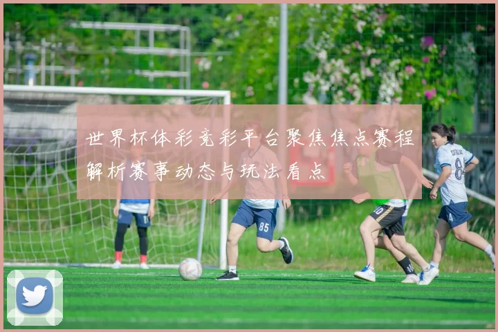 世界杯体彩竞彩平台聚焦焦点赛程解析赛事动态与玩法看点